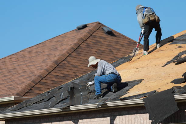 Best Roof Maintenance and Cleaning  in Shenandoah Heights, PA